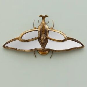 Rhino Beetle Mirror